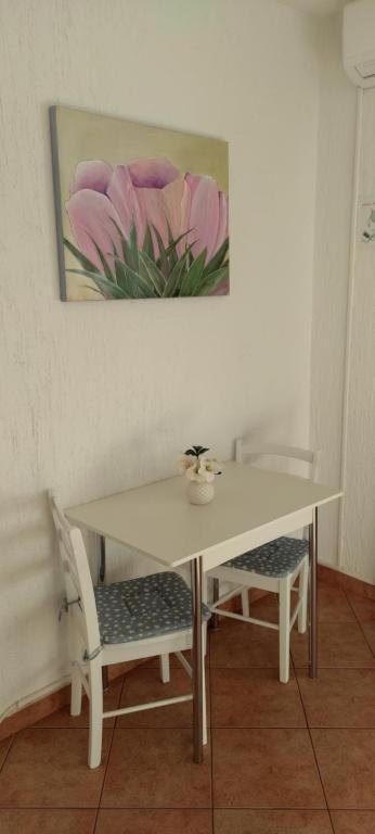 Apartment Mali Delfin